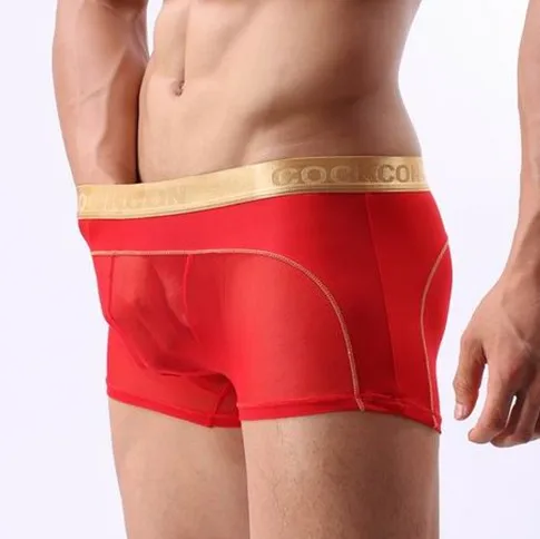 Fashion sex mens designer underwear mens transparent penis